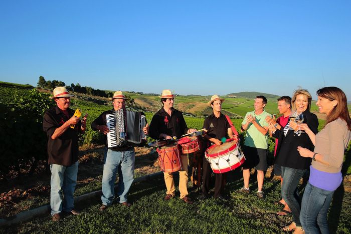 Guided Hiking Tours